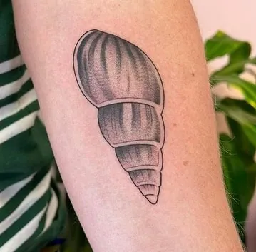 shell tattoo design variation 9 shadow shell tattoo design