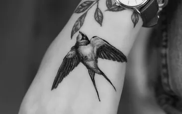 black Swallow Tattoo Design