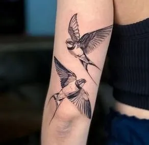 pair of Swallows Tattoo Design