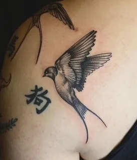 Swallow Tattoo Design