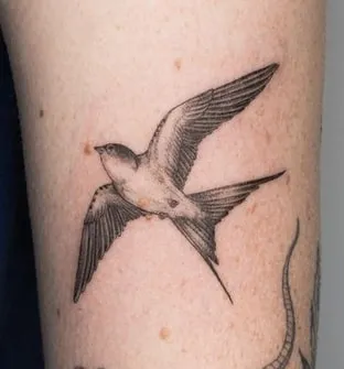 dotwork Swallow Tattoo Design