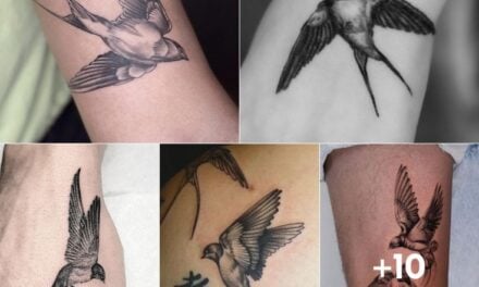What Does a Tattoo of a Swallow Symbolize? 10+ Designs to Check Out