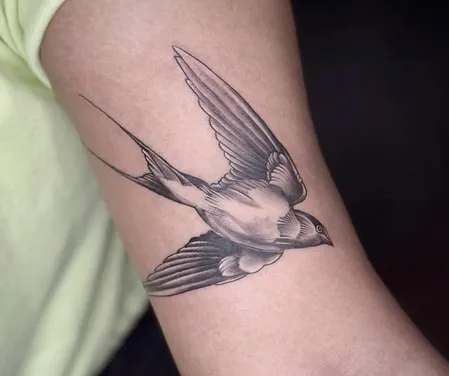 What Does a Tattoo of a Swallow Symbolize