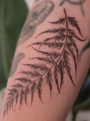 fern leaf tattoo fern leaf tattoo