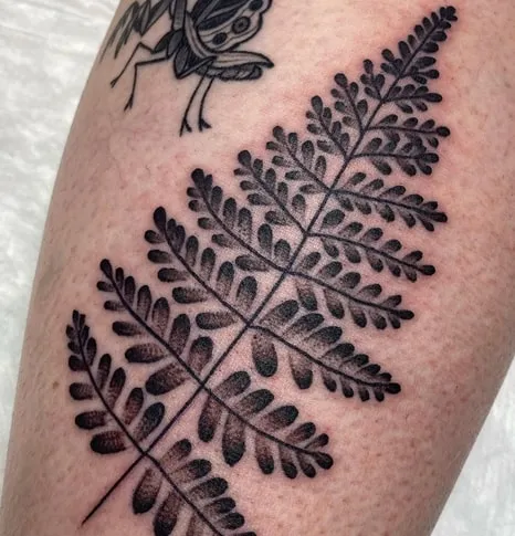 fern tattoo design 1 fern tattoo design