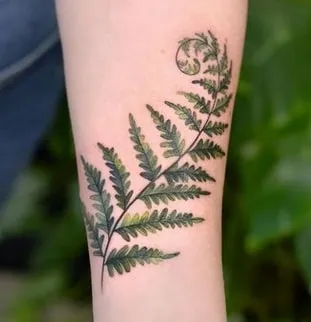 fern tattoo design 2 color fern tattoo design