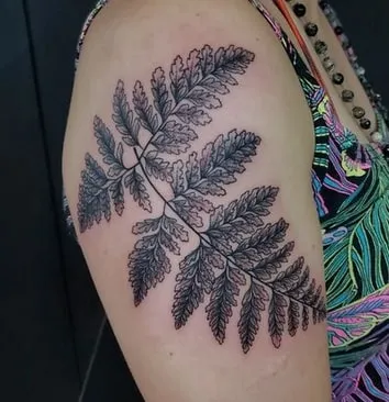 fern tattoo design 4 bicep fern tattoo design