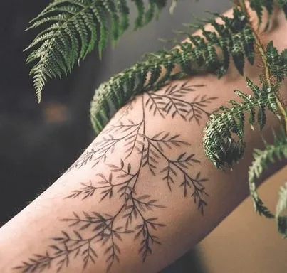 fern tattoo design 5 tree fern tattoo design