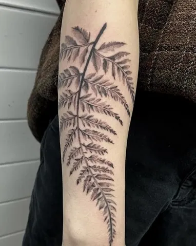 fern tattoo design 6 large fern tattoo design