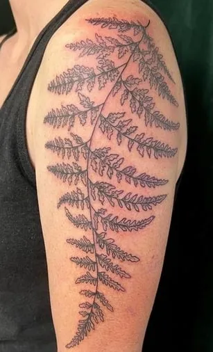 fern tattoo design 7 detailed fern tattoo design