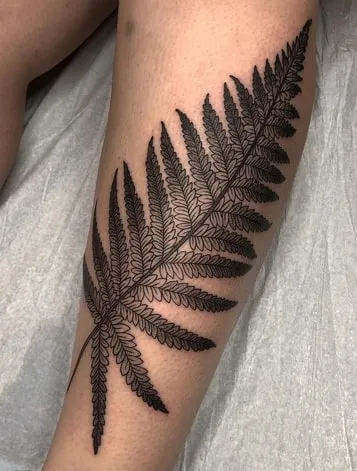 fern tattoo design 8 dotwork fern tattoo design