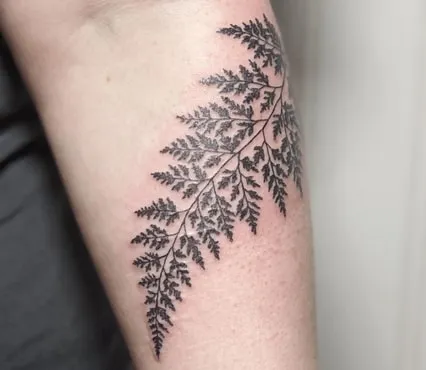 historical significance of fern tattoos
