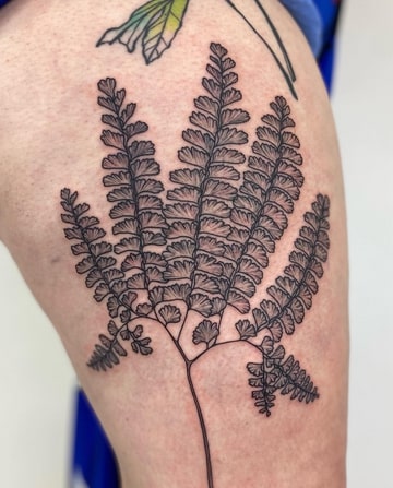 What Does A Fern Tattoo Mean Symbolism And 10 Design Ideas TattooAdore What Does A Fern Tattoo Mean Symbolism And 10 Design Ideas TattooAdore