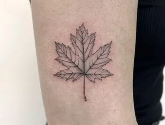 maple leaf tattoo maple leaf tattoo