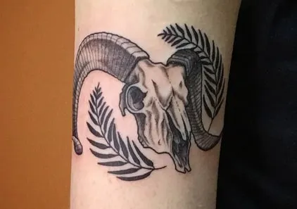ram skull tattoo idea 10 simple ram skull tattoo