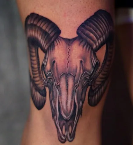 ram skull tattoo idea 2 ram skull tattoo