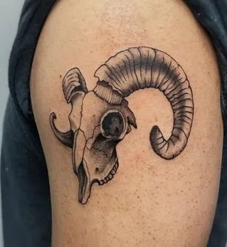 ram skull tattoo idea ram skull tattoo