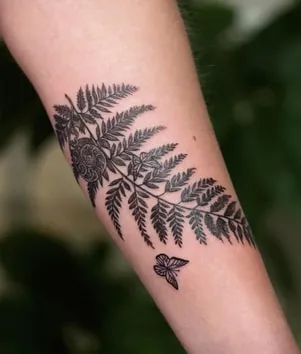 silver fern tattoo silver fern tattoo