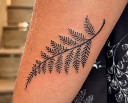 what does a fern tattoo mean what does a fern tattoo mean