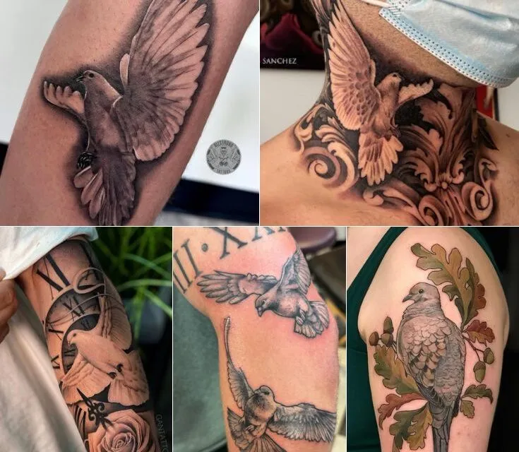 What Does a Tattoo of a Dove Symbolize | 10+ Design Ideas to Try