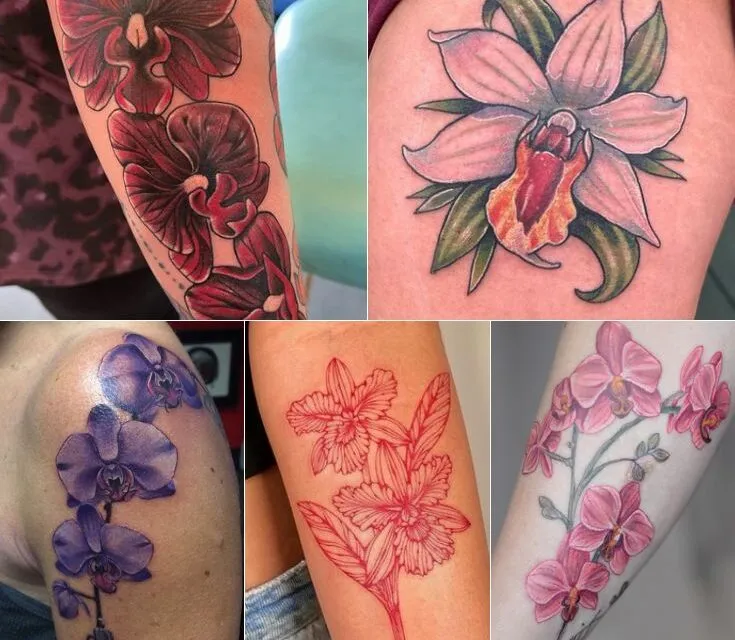 What Does a Tattoo of an Orchid Mean | Popular Design Variations, Placement Ideas and More