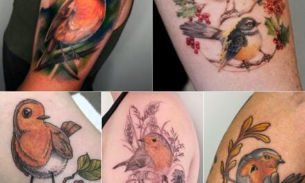 10+ Design Ideas for a Tattoo of a Robin | Symbolism, Placement Ideas & More.