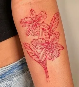 cattleya orchid tattoo
