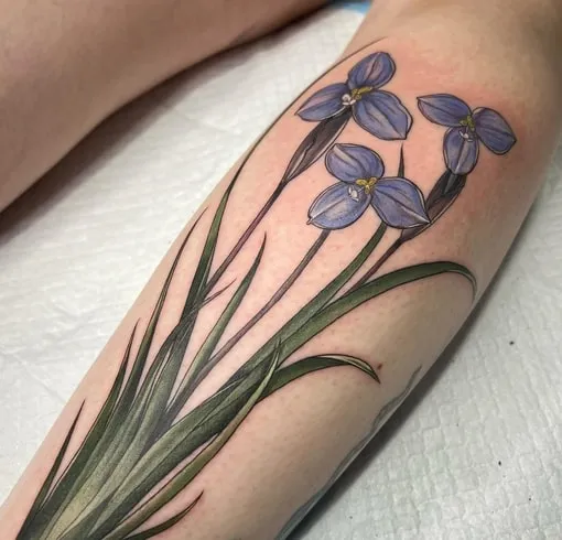 diff interpretations of iris tattoo diff interpretations of iris tattoo