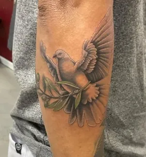 olive branch dove tattoo design