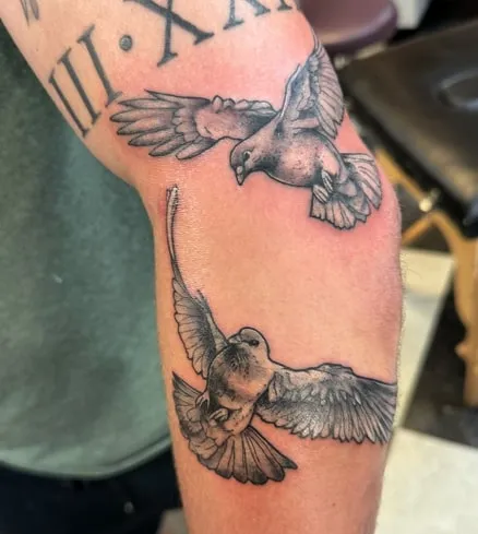 pair of dove tattoo design