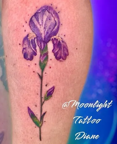 iris tattoo idea purple iris tattoo idea