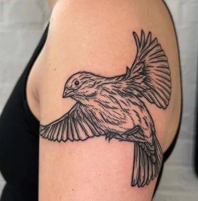 Sparrow Tattoo design