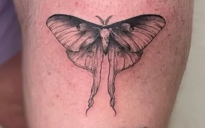 large moth tattoo design