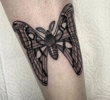black moth tattoo design