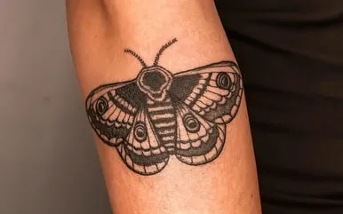 moth tattoo design