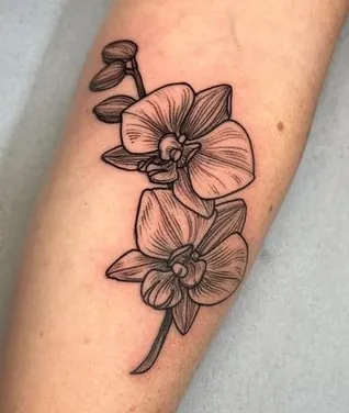 phalaenopsis orchid tattoo design