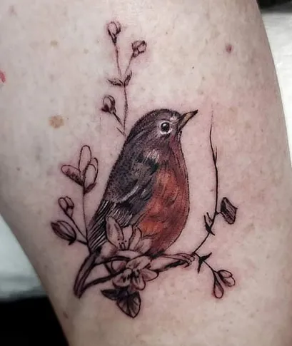 robin on branch tattoo design