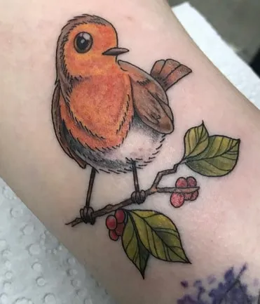 cartoon robin tattoo design