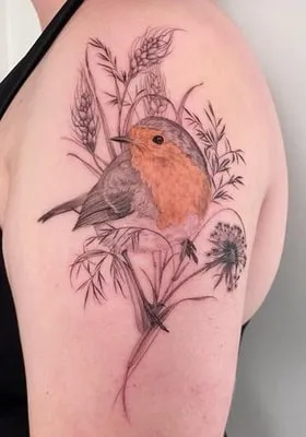realistic robin tattoo design