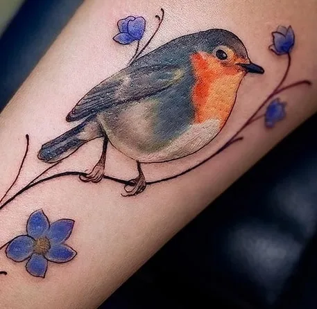 watercolor robin tattoo design