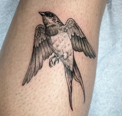 sparrow tattoo design flight