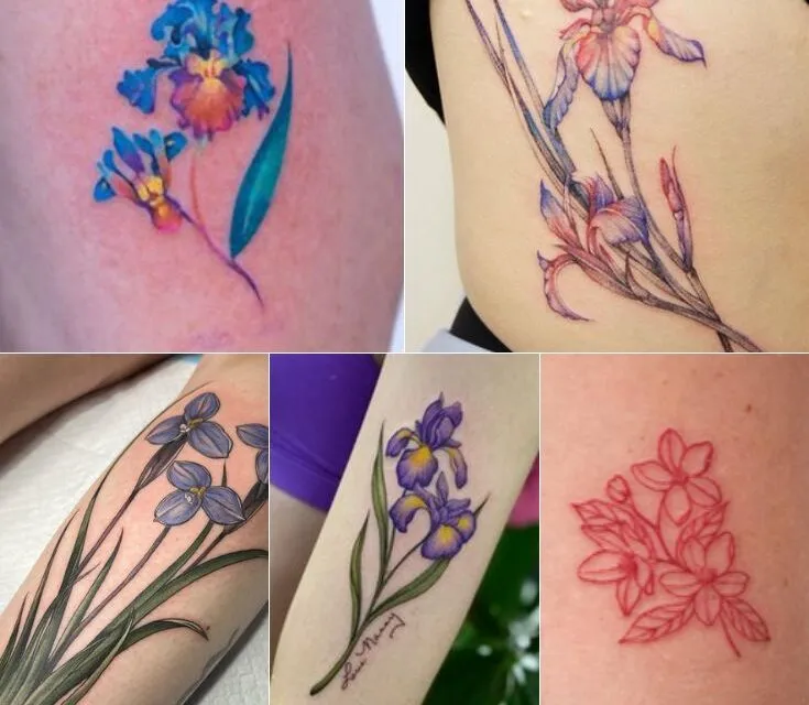 What Does a Tattoo of an Iris Mean?