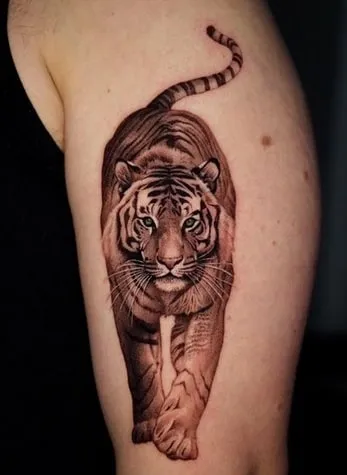 full body walking tiger tattoo design