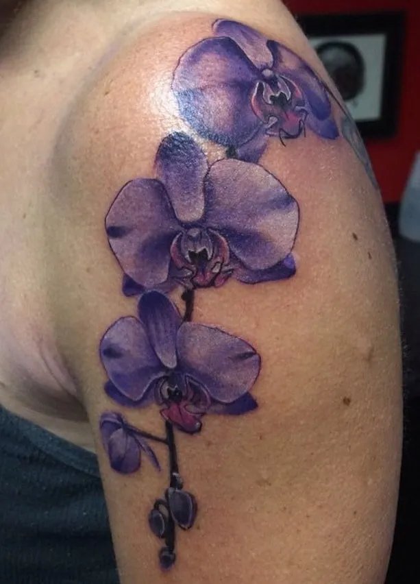 vanda orchid tattoo design