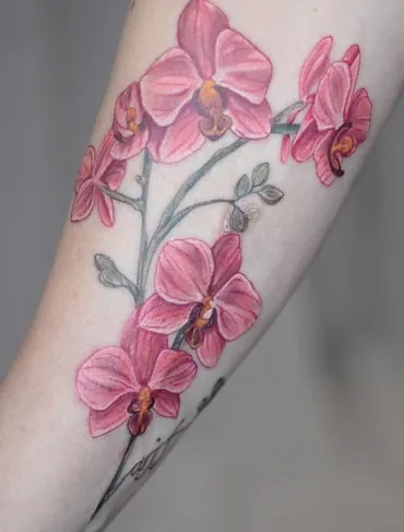 what does a tattoo of an orchid mean